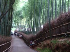 ２０１０夏奈良熊野京都島根⑦嵐山～銀閣寺