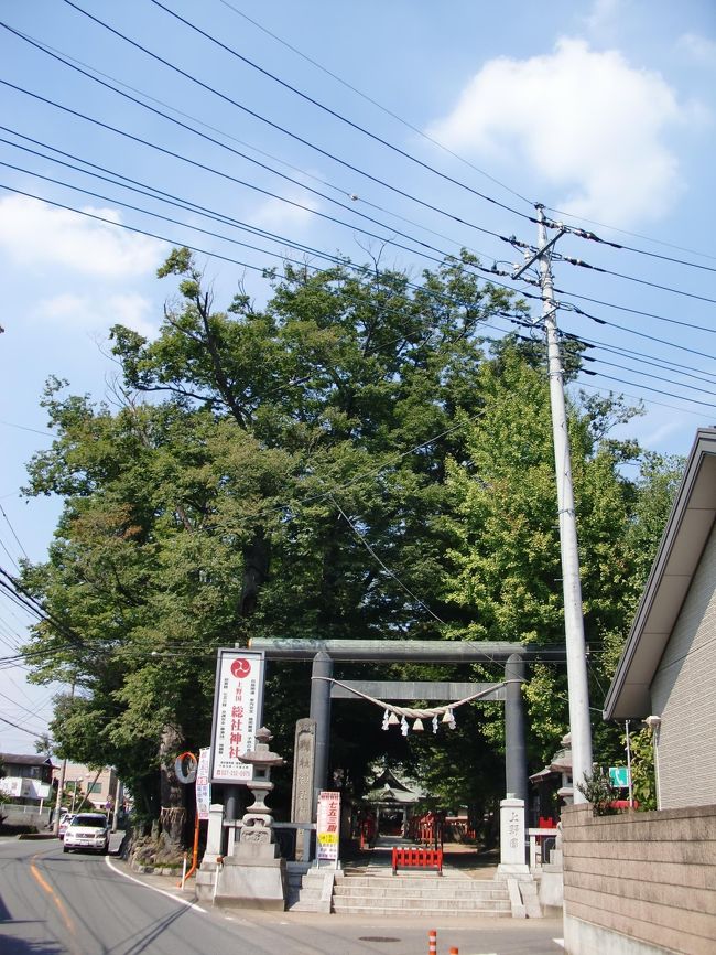 上野國総社神社(こうづけのくに そうじゃじんじゃ)は、第10代崇神(すいじん)帝の御代、皇子 豊城入彦命(とよしろのいるのひこのみこと)が東国平定の為に毛野國下向の際に神代に於いて東国平定に貢献された經津主命(ふじぬしのみこと)を敬慕した事から軍師として奉祀したのが起源とされてます。<br />その為に、此の神社は戦の神とされ、江戸期まで武士、明治期以降大東亜戦争終結時まで軍人に崇敬された神社でした。<br /><br />福島安正(ふくしま やすまさ)(嘉永5年(1852年)9月15日~大正8年(1919年)2月18日)と言っても現在人には記憶が無い人物と思われるが、福島は信州松本藩士として生を受け戊辰戦争に参加、明治維新以後は司法省職員から陸軍士官学校予科を経て陸軍軍人になるという特異な経歴を有し、語学力が優秀だった事を買われ、明治期の軍人として海外出張の多さでは他とは群を抜き、特に、明治20年(1887年)3月に在ドイツ日本公使館附陸軍駐在武官として任命され、明治24年(1891年)12月に陸軍省から帰朝命令を受け1年半をかけてシベリアを単騎縦断し地形等々を調査して後の日露戦争に有益な情報をもたらしめた。<br />当時のシベリアはロシアの文豪プーシキンの作品にも登場する様にコサックや盗賊が跋扈する未開の蛮地であり、ロシア人といえども立ち入りは困難だった。<br />福島は後に陸軍大将に任じられるが、藩閥体制下が強いとされた当時、戊辰戦争で朝敵扱いされた會津藩出身の 柴 五郎(しば ごろう)(萬延5年(1864年)~昭和20年(1945年)12月13日)と共に大将昇進は他の軍人と比較して能力がずば抜けて高かったからであり、必ずしも薩長土肥出身でなければ将官にすらなれなかったというのは俗説に過ぎず、秋山好古(あきやま よしふる)(安政6年(1859年)2月9日~昭和5年(1930年)11月4日)や明石元次郎(あかし もとじろう)(元治元年(1864年)9月1日~大正8年(1919年)10月26日)も薩長土肥外の出身であり、長州出身で陸軍の大御所と言われた長州絶対主義的思想で凝り固まった山県有朋(天保9年(1838年)~大正11年(1922年)2月1日)は、実は一面に於いて人見る目は有り能力ありと見るや昇進を実行させていたというのが昨今の研究結果とされる。<br /><br />福島は揮毫が絶無と言ってよいほど、その存在は無く横浜臨海公園の下に定期的に送られてくる東京神田神保町古書店のオークションリストでも福島の揮毫の書は未見であり、同時代の陸軍軍人 乃木希典(嘉永2年(1849年)11月11日~大正元年(1912年)9月13日)の物が本物ニセモノを含め多数流通しているのとは根本的相違である。<br /><br />上野國総社神社には日露戦争の記念碑に珍しく福島が揮毫しており長野県出身の福島が何故群馬県の神社に揮毫した理由は現在も謎である。<br /><br /><br />両毛線前橋駅西口 関越交通バス元総社停留所降車 徒歩3分<br /><br /><br />表紙は上野國総社神社正面鳥居<br /><br /><br /><br />http://www.net-you.com/souja/index2.html<br /><br />http://www.ndl.go.jp/portrait/datas/186.html