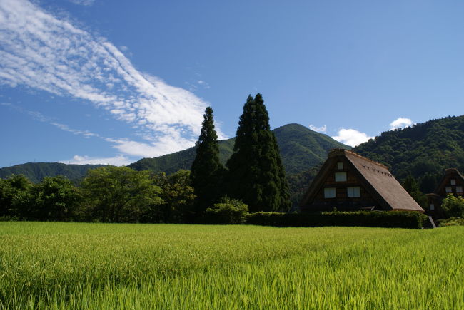 今年の夏休みは、家族旅行のほかに、ソロツーリングを企画！1泊しかできないけれど、世界遺産の白川郷の合掌造りを見に行ってみました。合掌造りの民宿に宿泊しようとしましたが、残念ながら満室。次善策として、飛騨高山に宿をとりました。飛騨高山の街並みもGOOD！充実した2日間となりました。<br />2日目　高山→白川郷→五箇山菅沼集落→五箇山相倉集落→砺波IC→北陸道→有磯海SA→上越JCT→新井PA出入口→<br />R292→飯山→R403→志賀高原→草津→渋川伊香保IC→関越道→練馬→自宅　走行距離約６５０Km<br />フーッ疲れた。 <br />