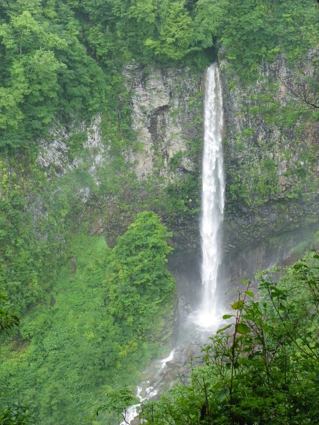 八百津町の「五宝の滝」を後にして、東海北陸道に乗って白川村を目指します。<br />目的地は“北中百選”に選ばれている『白水の滝』で、今回の岐阜県の滝めぐりの中で最も楽しみにしていた滝です。<br /><br />“北中百選”とは・・・滝の写真家／北中康文氏が独自に選んだ100ヶ所の滝。