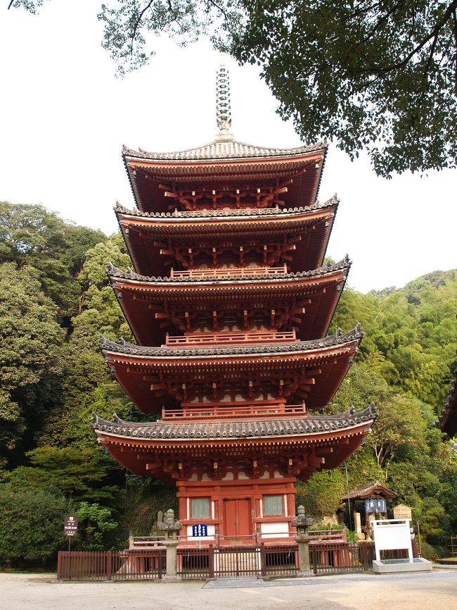 　広島県福山市草戸にある明王院は真言宗大覚寺派の寺で中道山明王院という。寺伝では明王院の前身である「常福寺」は大同2年（807年）に弘法大師空海によって創建されたとされる。本尊の十一面観音像は平安時代前期に遡る。中世には草戸千軒町（川底に埋もれた中世遺跡として著名）が門前町として栄えた。<br />　元応3年（1321年）に建立された本堂と貞和4年（1348年）に建立された五重塔が国宝になっている。<br />　裏山には愛宕神社、奥の院があるので登ったが、残暑の厳しい折、汗だくになった。しかも蚊に刺されて痒い思いをした。トタン張りの奥の院と1間（2間？）社流れ造りの小さな愛宕神社社殿があったが、これまでの思いをして登るほどのことはなかったと思った。<br />（表紙写真は明王院五重塔）