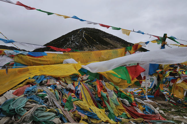 猛暑の日本を後にして、中国のチベット自治区のラサへの旅が始まった。<br />｢高山植物と秘境・ナムチャバルワなどの大自然を撮る10日間スペシャル」に参加をした。<br />かねてよりの夢が叶いました。チベットより高原列車で崑崙山脈を越える旅は大自然の風景を堪能でした。<br />中国の大地は広いです。林芝地区は梅雨の最中です。目指すナムチャバルワ峰も雲の中でした。<br />米拉（ミラ）山峠（5020ｍ）を越えてチベット仏教の聖地ラサへ。<br />はじめて見るポタラ宮はチベット仏教の歴史と民族の信仰の重みを感じる旅となりました。<br />　旅を追いかけながら、私の視て来たチベットの風景、歴史、体験を通して素晴らしさをお伝えしましょう。<br /><br />　色季拉（セジラ）峠、標高4618ｍから見えるはずのナムチェバルワは雲の中でした。<br />　望み薄しと八一から工布江&#36798;具へ移動。