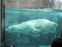 茨城から妹が帰省・3泊4日道東の実家へ≪旭山動物園の巻≫