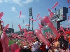 2010年のカープinマツダスタジアム。