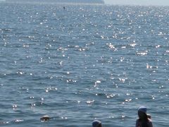 我が家のETC記念旅行（後編）＞＞琵琶湖のマキノサニービーチで一泊　長浜城と養老の滝