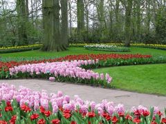 ベネルックス三国を歩いて来ました (1)　ハーグ、デルフト、キンデルダイク