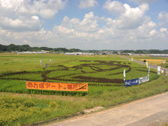 “田んぼアートin菊川”を見てきました