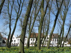 ベネルックス三国を歩いて来ました　（２）　アントワープ、ブルージュ