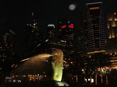 シンガポール旅行記～2日め②vivo city,本家マーライオン～