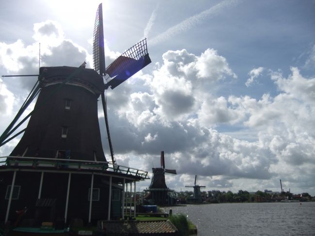 ベルギー＆オランダ旅行の旅行記も最後。<br />オランダ訪問の第一の目的はフェルメール。<br />でもオランダに行ったからには風車とチーズ市が見たい！！<br /><br />キンデルダイクまで行くのは遠いから風車はザーンセ・スカンスにして、チーズ市は日程からアルクマールに決定！<br /><br />旅行前半は天気の悪い日が続いたから「雨だったら行きたくないよね…」って話していたけど、杞憂に終わりました！晴れて気持ちよかった★<br /><br /><br />▼日程 7泊9日▼<br />8月13日…成田→スキポール→ブリュッセル<br />8月14日…ブリュッセル観光<br />8月15日…ブルージュに日帰りでおでかけ<br />8月16日…アントワープに日帰りでおでかけ<br />8月17日…ブリュッセル→アムステルダム　アムステルダム観光<br />8月18日…デン・ハーグとデルフトに日帰りでおでかけ<br />8月19日…ザーンセ・スカンスとアムステルダム観光<br />8月20日…アルクマールでチーズ市見学後、スキポールへ<br />8月21日…成田到着 