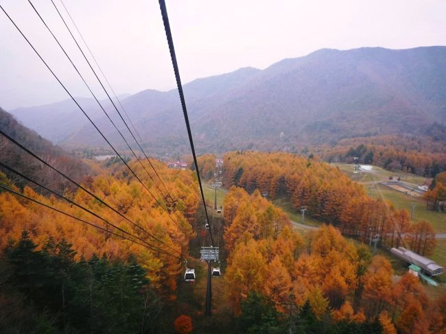 社員旅行で訪れた丸沼高原、白根山、吹割の滝。<br />