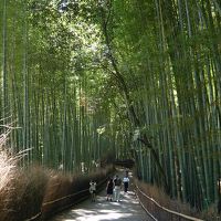 ふらりと、京都へ　～猛暑の中でパワースポット＆世界遺産巡り