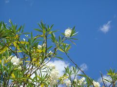 萩の夏旅～元遊郭・芳和荘に泊まる　３日目