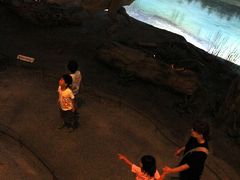 ひとり旅巡行記 ［767］ 40体もの恐竜骨格が展示されていました＜福井県立恐竜博物館＞福井県勝山市