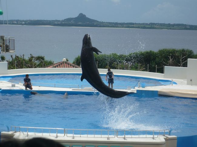 ちゅら海水族館に行きました。<br />イルカのジャンプにサプライズ