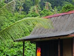 5 ABC Pulau Tioman にゃん流小次郎(仮名）の鮮やかなツバメ返しに遭遇した　　　　