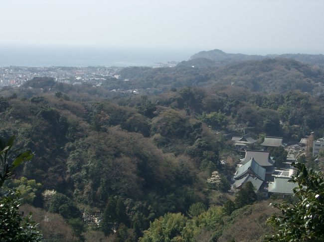 「鎌倉アルプス」と呼ばれる天園コースを歩きました。鎌倉の町を見下ろす眺めのよいハイキングコースです。