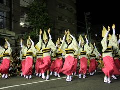 夏の終りの風物詩　高円寺阿波踊り　２０１０