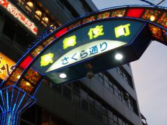 箱根旅行～前泊編～新宿泊まり