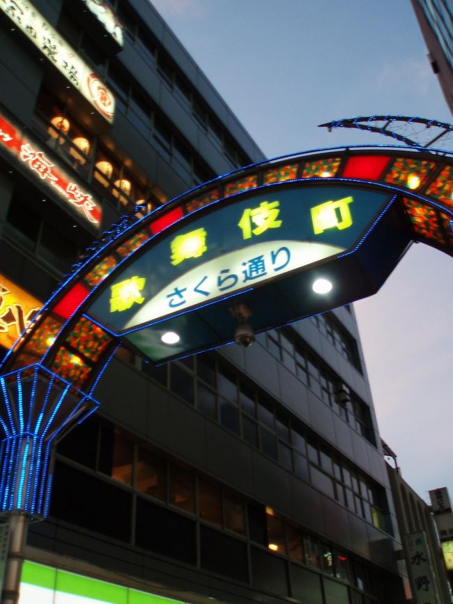 箱根までロマンスカーで行くために新宿で前泊をしました。<br />利用したのは、JRと宿泊券のパックです。<br />新宿といったら歌舞伎町!<br />夜の散歩に出かけました。