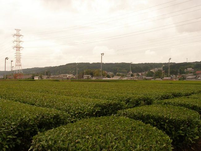 埼玉在住の友達も多く、行く機会も度々・・・<br />ちょこちょこたまっていた写真を<br />まとめてアップさせて頂きます。<br />