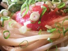 【福岡グルメ】2010 JUN 福岡麺通団にて讃岐うどんを食する　