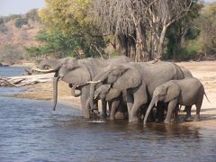 アフリカ南部４カ国周遊・ビクトリアの滝・チョベ国立公園・ケープタウン