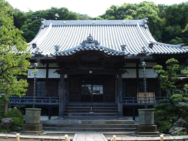 藤沢市片瀬にある本蓮寺は日蓮宗の寺であり龍口山本蓮寺という、輪番八ヶ寺の1寺である。輪番八ヶ寺は全て山号が龍口山である。日蓮上人法難以前の創建であり、推古天皇3年(595年)、義玄和尚により開山されたと伝えられる。元暦元年(1184年)、源頼朝により再建された。門前に「鎌倉殿 駒繋ぎの松」と立札がある。文永8年(1271年)、龍の口での法難を逃れた際に、ここで休息をしたことから、日蓮聖人像が祀られている。もとは密教寺院だったが、嘉元年間(1301年〜1306年)の頃、日秀が日蓮宗に改宗した。慶安2年(1649年)に朱印地七石を賜った。輪番八ヶ寺のうち、片瀬にある本蓮寺と常立寺は法難以前の創建であり、腰越の6寺よりも境内が広く伽藍も立派だ。<br /> 境内には銀杏の古木が2本立っており、法難以前の古刹であることが想像できる。本堂の屋根には内側に寿福寺とほぼ意匠が同じ浪の飾り瓦と外側には唐獅子の飾り瓦が上がっている。手水舎の屋根にも可愛らしい浪の飾り瓦が上がっている。しかし、鐘楼の屋根には飾り瓦は見られなかった。また、多宝塔前のお堂の屋根にも唐獅子の飾り瓦が上がっている。多宝塔は平成元年(1989年)の建立であるから、その頃に建てられたお堂には鎌倉界隈の寺なら飾り瓦が上がるようになる。<br /> 山門横の境内と多宝塔前横にも枝垂れ桜が植えられており、墓地山側にも多数の枝垂れ桜が植えられ、将来的には枝垂れ桜の名所になるかも知れない。境内での写真撮影は御遠慮くださいとのことである。<br />(表紙写真は本蓮寺本堂)