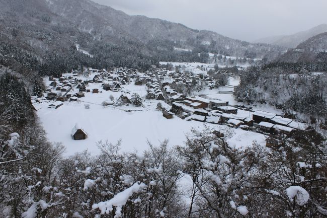 　今年の冬に行った合掌造り（五箇山、白川郷）です。五箇山に行くのは初めてで、白川郷に行くのは２度目です。アクセスの悪い場所ですが、公共機関を駆使して１日で相倉集落、菅沼集落、白川郷と観光しました。富山県の高岡から行ったのですが、バスの本数が少なく基本的に街の写真を撮るぐらいです。とりあえず、豪雪地帯なのでめちゃくちゃ寒かったです。<br /><br />＜行程＞<br />７：５６　高岡駅発<br /><br />　　　　↓（城端線）<br /><br />８：４５　城端駅着<br />９：００　城端駅前発<br /><br />　　　　↓（加越能バス）<br /><br />９：２３　相倉口着<br /><br />【相倉集落観光】<br /><br />１１：１８　相倉口発<br /><br />　　　　↓（加越能バス）<br /><br />１２：０４　萩町神社前着<br /><br />【白川郷観光】<br /><br />１３：１２　萩町発<br /><br />　　　　↓（加越能バス）<br /><br />１３：４２　菅沼着<br /><br />【菅沼集落】<br /><br />１５：４７　菅沼発<br /><br />　　　　↓（加越能バス）<br /><br />１６：３０　城端駅着<br /><br />１６：３４　城端駅発<br /><br />　　　　↓（城端線）<br /><br />１７：２０　高岡駅着