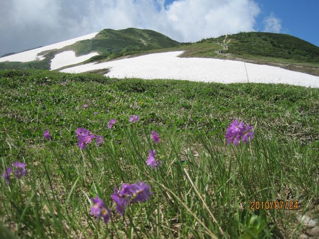 都会の猛暑を避け、先週は北海道、今週は白馬乗鞍岳。栂池ゴンドラの終点が登山口、<br />ａｍ８時，登山開始、すぐ高山植物のオンパレード。ゴゼンタチバナ、ベニバナイチゴ・・・・<br />途中５ヶ所ほどの残雪の雪道は、暑さは嘘のよう。それほど大変でなく，ａｍ１１時には<br />白馬大池のみえる２４３６ｍの頂上へ。