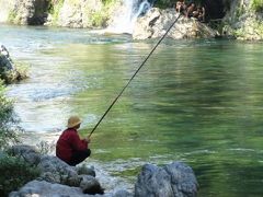 岐阜 / 郡上八幡　清流の流れる山あいの美しい街の伝統的なお祭りを満喫