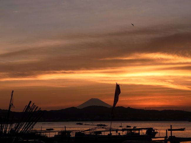 海に行ってきましたー<br /><br />と言っても海水浴ではないけど(笑)<br />海のないところで育ってきた私は海を見るとテンションが一気に上がる♪<br /><br />夕陽がとーってもキレイだったのー