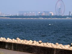 若洲海浜公園を巡る−３　荒川河口　葛西臨海公園をデズニーランド望む