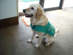 富士ハーネス(日本盲導犬総合センター）を訪ねて！