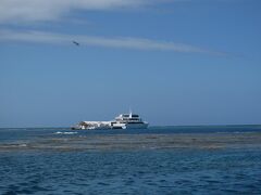 初ケアンズ②GBR・モアリーフの巻