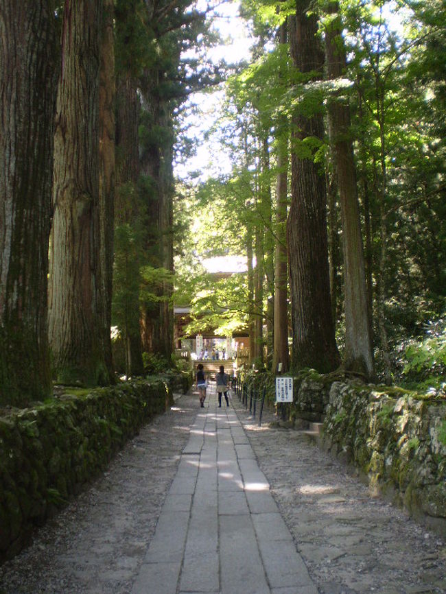 南信州駒ヶ根を中心に栗拾いとぶどう、なし、りんご、プルーン食べ放題の日帰りバスツアー<br /><br />http://bustrip.exblog.jp/11913338/