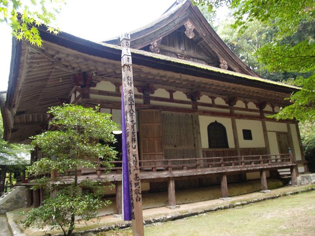 　滋賀県愛知郡愛荘町松尾寺にある金剛輪寺は天台宗のお寺で松峰山金剛輪寺という。天平13年（741年）に聖武天皇の勅願で行基により創建され、その後、平安時代前期の嘉承年間（848年〜851年）には慈覚大師円仁によって再興されたと伝えられ、寺では円仁を中興の祖としている。本尊は聖観世音菩薩（秘仏）で、平安時代後期から鎌倉時代の仏像が多く残る。その他には、常照庵所蔵の3像、明寿院所蔵の1像も重文に指定されている。<br />　現存する大悲閣（本堂）は、弘安11年（1288年）、元寇の役の戦勝記念として、近江守護佐々木頼綱の寄進を得て建てられたもので、国宝である。本堂内の内陣中央の厨子のなかには秘仏の本尊・聖観音立像（重文）が祀られ、前立尊である聖観音立像、右側に不動明王立像（重文）、左側に毘沙門天立像（重文）、左右それぞれ前方に各2体ずつの四天王立像（重文）と後方に阿弥陀如来坐像（重文）が安置されている。後陣には、平安時代の作といわれる十一面観音立像（重文）や慈恵大師坐像（重文）などが安置されている。その他には、護摩堂には大黒天半跏像（重文）などがある。また、常照庵所蔵の3像、明寿院所蔵の1像も重文に指定されている。<br />　三重塔待龍塔は寛元4年（1246）の建立とされ、朽ち落ちていたが、昭和53年（1978年）秋に復原修理工事が完了し、3層に戻った。重文に指定されている。五重塔ならいざ知らず、カメラには納めようがない三重塔はここが初めてだ。<br />　国指定名勝庭園は池泉回遊式庭園で、桃山、江戸初期、中期の三庭からなり、境内のもみじは「血染めのもみじ」と広く知られている。<br />　参道にはお地蔵さまが並び、地蔵堂や境内にも並び、千体地蔵と言われているが、2,000体は越えていようか。これほど多くのお地蔵さまは初めて目にした。<br />（表紙写真は金剛輪寺大悲閣本堂）