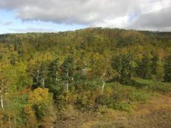 一足早い秋の訪れの北海道へ　No2　　【紅葉と初雪の大雪山を堪能したあとは、美瑛へ】