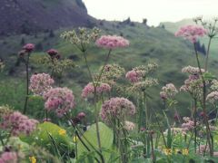 シーニゲプラッテで一休み～イギリス・スイス一人旅⑨