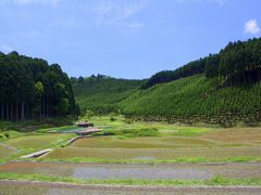 全長70km！京都一周トレイルを歩く(24)　北山杉の木立を抜けて②　盗人谷から氷室の里へ