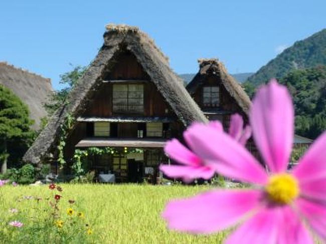 以前から行ってみたかった白川郷。<br />夏休みが終わり、九月の連休前がすいているかなと思って、<br />前々日にガイドブックを購入し、前日に高山のホテルをネット予約。<br />少々準備不足ながらも、高速道路の休日特別割引と無料化社会実験を利用して行ってきました。<br /><br />行程<br />1日目<br /> 自宅(神奈川)→《東名→東富士五湖道路→中央道》→松本<br /> 松本→《安房峠道路》→高山<br />2日目<br /> 高山→《東海北陸道》→白川郷→《東海北陸道→東名》→自宅<br />