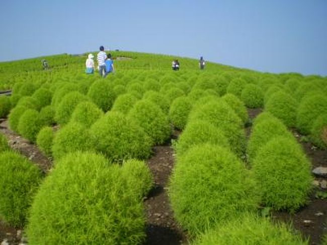 アサヒビール茨城工場で新鮮ビールを楽しんだのちに那珂湊・ヤマサ水産の回転寿司食べ放題です。大ネタで有名なお店です。食後にひたち海浜公園みはらしの丘で自然の光景で一息、千代田に移動して、最後は梨狩りです（食べ放題）。茨城へのバスツアーは梅の季節を除くと多くはありませんが、秋のひたちなかは楽しみが多い感じがします<br /><br />http://bustrip.exblog.jp/11788587/