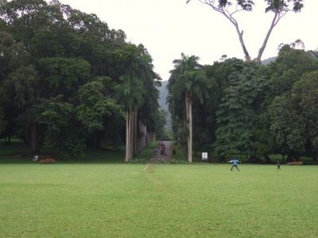 のんびりお散歩・植物園　/　スリランカ　2