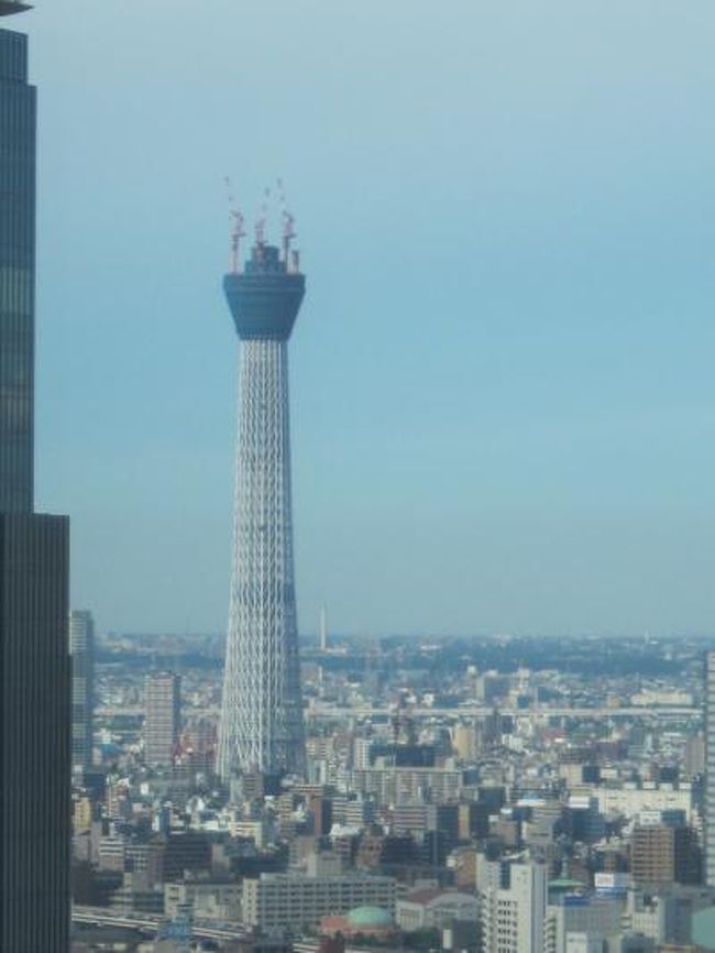 友達に会いにちょっくら東京へ。<br />今回は、東京駅の横（上？？）に建ってるサピアタワーにある<br />メトロポリタン丸の内に宿泊でした。<br />ちょっと豪華なビジネスホテルという感じですが、新しいホテルで<br />快適に過ごせました。<br />