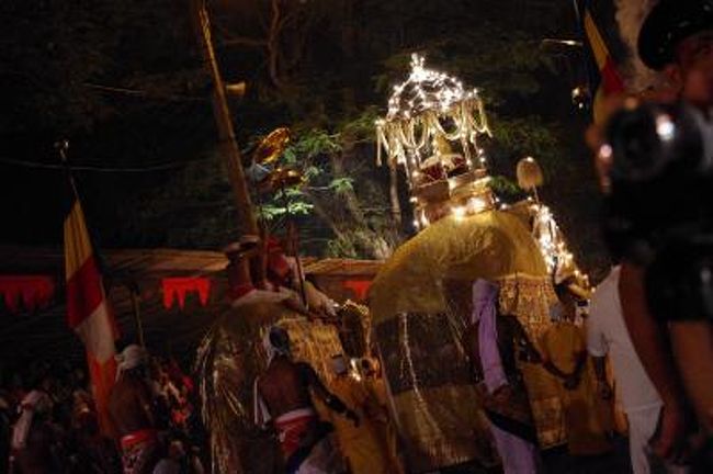 世界で一番盛り上がるのは何祭り Inスリランカ ペラヘラ祭り スリランカ 3 キャンディ スリランカ の旅行記 ブログ By アスティさん フォートラベル 世界で一番盛り上がるのは何祭り Inスリランカ ペラヘラ祭り スリランカ 3 キャンディ スリランカ の旅行記 ブログ By アスティさん フォートラベル