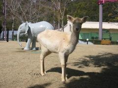 白浜とアドベンチャーワールド