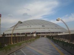 優勝目指して中日ドラゴンズを応援に行きました！