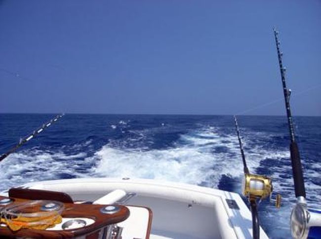 ハワイしまでカジキを釣る その3 ハワイ島 ハワイ の旅行記 ブログ By 黒川さん フォートラベル ハワイしまでカジキを釣る その3 ハワイ島 ハワイ の旅行記 ブログ By 黒川さん フォートラベル