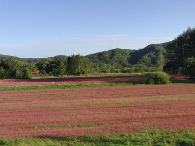 『知床爆走おひとり様ツアー①千歳から足寄オンネトーへ』千歳・新千歳空港(北海道)の旅行記・ブログ by ゆうこママ