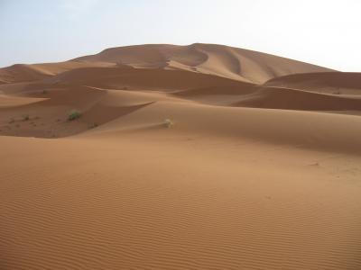 2010春28　モロッコ(メルズーカ　砂漠体験)